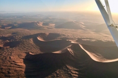 Lady Bush Pilot - African Tour - Flap 4