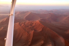 Lady Bush Pilot - African Tour - Flap 4