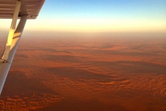 Lady Bush Pilot - African Tour - Flap 4