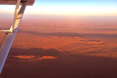 Lady Bush Pilot - African Tour - Flap 4
