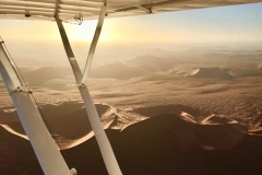 Lady Bush Pilot - African Tour - Flap 4