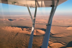 Lady Bush Pilot - African Tour - Flap 4