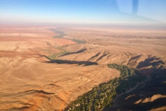 Lady Bush Pilot - African Tour - Flap 4