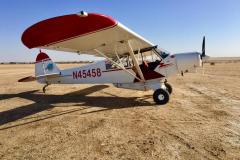 Lady Bush Pilot - African Tour - Flap 4