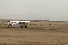Lady Bush Pilot - African Tour - Flap 4