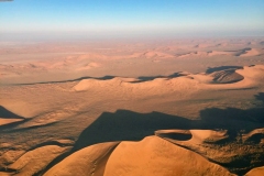 Lady Bush Pilot - African Tour - Flap 4