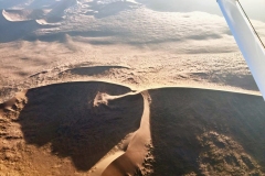 Lady Bush Pilot - African Tour - Flap 4