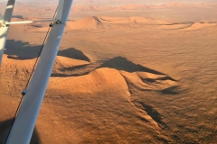 Lady Bush Pilot - African Tour - Flap 4