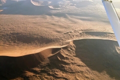 Lady Bush Pilot - African Tour - Flap 4