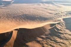Lady Bush Pilot - African Tour - Flap 4