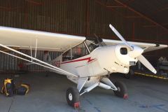 Lady Bush Pilot - African Tour - Flap 3