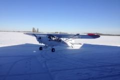 Lady Bush Pilot - Landing in the snow