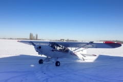 Lady Bush Pilot - Landing in the snow