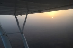 Lady Bush Pilot - African Tour - Flap 6