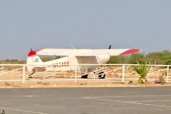 Lady Bush Pilot - African Tour - Flap 6