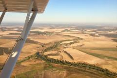 Lady Bush Pilot - African Tour - Flap 4