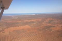 Lady Bush Pilot - African Tour - Flap 4