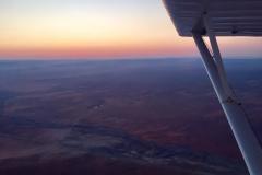 Lady Bush Pilot - African Tour - Flap 4
