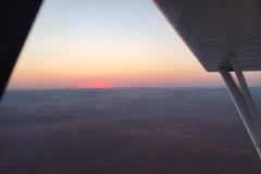 Lady Bush Pilot - African Tour - Flap 4