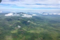 Lady Bush Pilot - African Tour - Flap 5