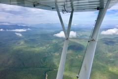 Lady Bush Pilot - African Tour - Flap 5