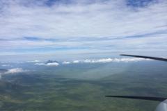 Lady Bush Pilot - African Tour - Flap 5