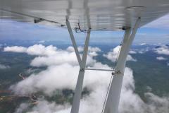 Lady Bush Pilot - African Tour - Flap 5