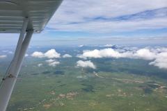 Lady Bush Pilot - African Tour - Flap 5