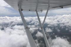 Lady Bush Pilot - African Tour - Flap 5