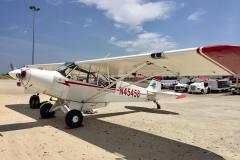 Lady Bush Pilot - African Tour - Flap 5