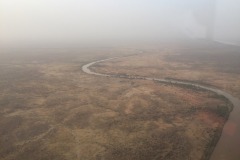 Lady Bush Pilot - African Tour - Flap 6
