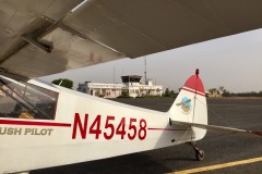 Lady Bush Pilot - African Tour - Flap 6