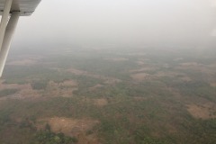 Lady Bush Pilot - African Tour - Flap 6