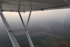 Lady Bush Pilot - African Tour - Flap 6