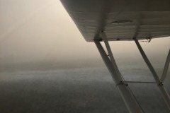 Lady Bush Pilot - African Tour - Flap 6