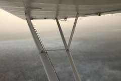 Lady Bush Pilot - African Tour - Flap 6