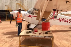 Lady Bush Pilot - African Tour - Flap 6
