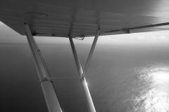 Lady Bush Pilot - African Tour - Flap 5