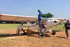 Lady Bush Pilot - African Tour - Flap 5