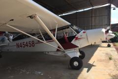 Lady Bush Pilot - African Tour - Flap 5