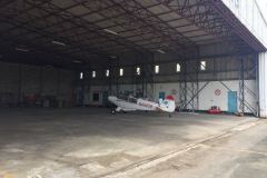 Lady Bush Pilot - African Tour - Flap 3