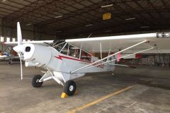 Lady Bush Pilot - African Tour - Flap 3