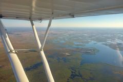 Lady Bush Pilot - African Tour - Flap 3