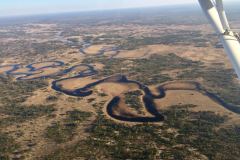 Lady Bush Pilot - African Tour - Flap 3