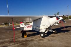 Lady Bush Pilot - African Tour - Flap 3