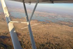 Lady Bush Pilot - African Tour - Flap 3