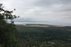 Lady Bush Pilot - African Tour - Flap 3