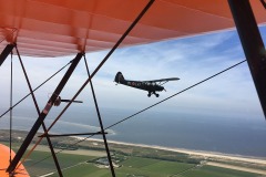 Lady Bush Pilot - Neighbors Trip