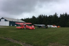 Lady Bush Pilot - Neighbors Trip