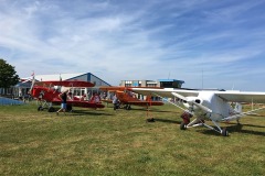Lady Bush Pilot - Neighbors Trip